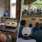 Kelebihan dan Kekurangan Menonton Live Streaming Taruhan Sabung Ayam S128 Dibandingkan Darat: Perbandingan Lengkap